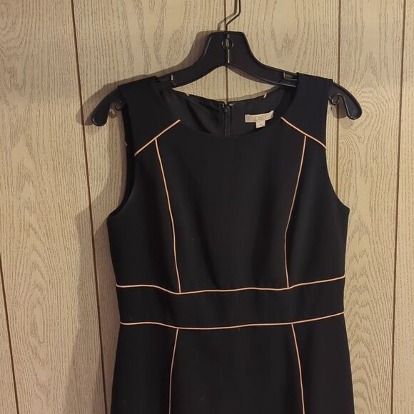 Ann Taylor Loft sheath dress. Sheath dresses are form-fitting, straight-cut - Picture 4 of 5